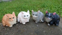 Kočky polyston 4 druhy Polystonové a keramické figurky - zvířata